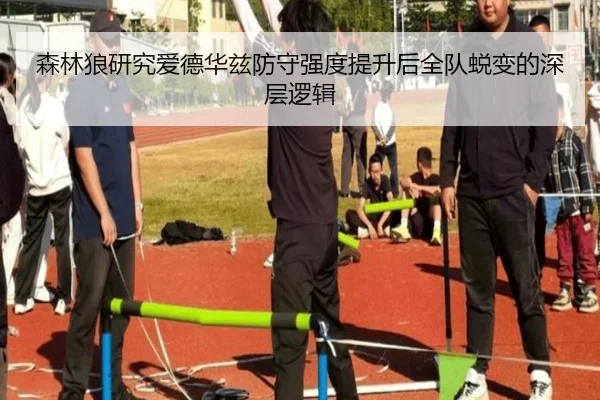 森林狼研究爱德华兹防守强度提升后全队蜕变的深层逻辑